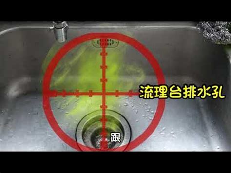 臭水溝|【廚房除臭】廚房下水道臭味揮之不去？怎麼清還是臭？